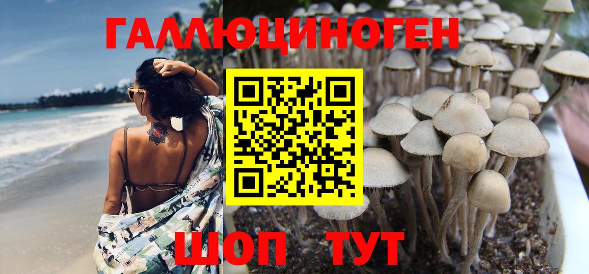 Псилоцибиновые грибы Cubensis Первоуральск